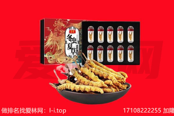 白城市通榆回收虫草.jpg